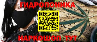 сатива Тулун