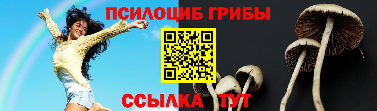Батайск  Псилоцибиновые грибы MAGIC MUSHROOMS  Вход с VPN 